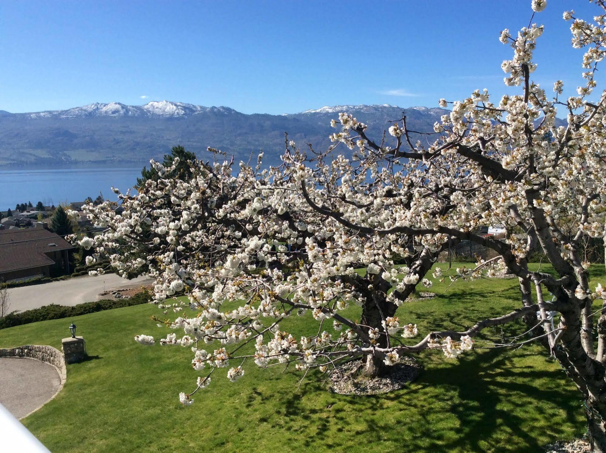 A Le Chateau Du Lac West Kelowna Exteriör bild